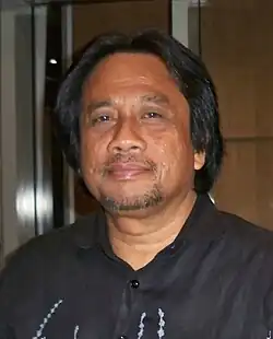 Ariffin in 2013