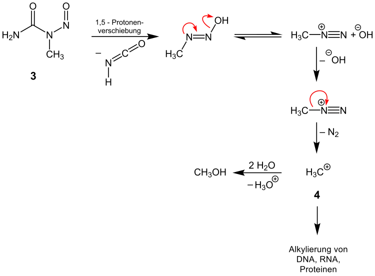 Zerfall eines N-Nitrosoharnstoffs zu einem alkylierenden Intermediat